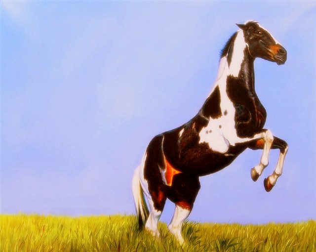 Schilderij van een springend paard