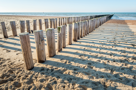 Aluminium schilderij “Two rows of wooden poles” van Mondiart