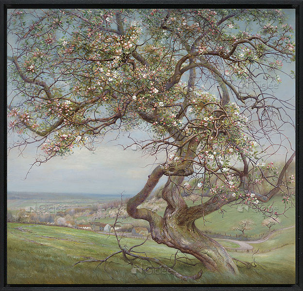 bloeiende appelboom schilderij