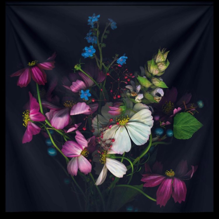 Wandkleed “Variety of Flowers” van Mondiart