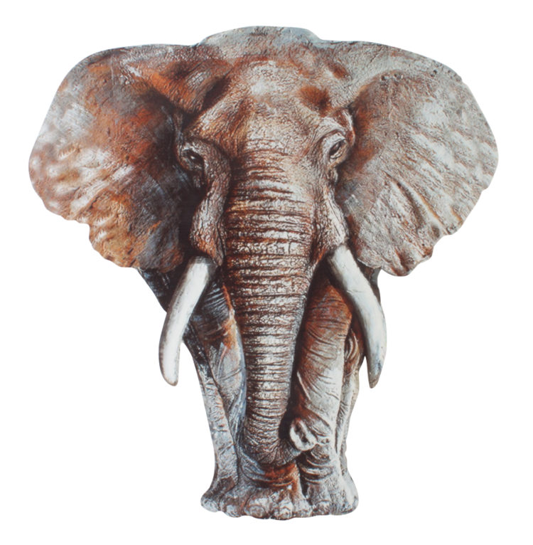 Metalen wanddecoratie “Elephant’s Gaze”