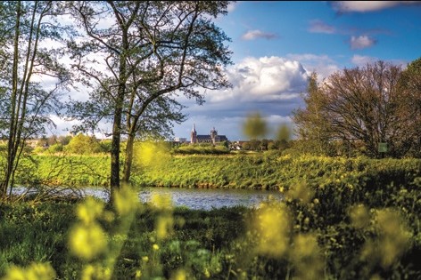 Aluminium schilderij Green overgrown landscape van MondiArt