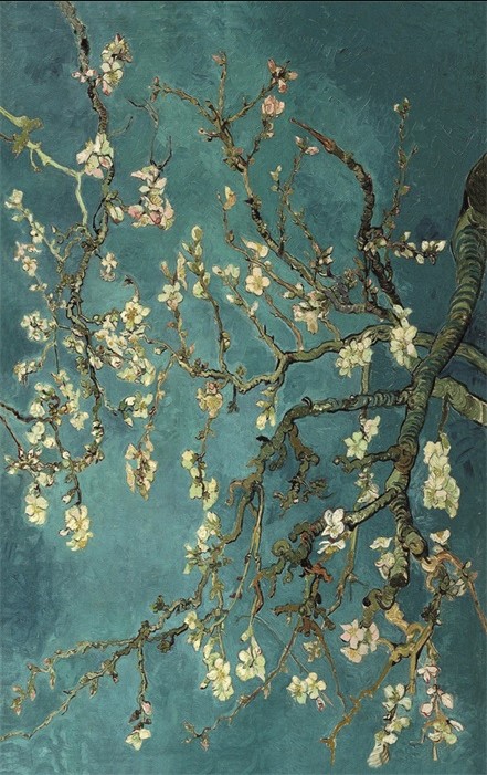 Design karpet Carpet Blossom - Van Gogh van MondiArt Bloeien MA-KAR187