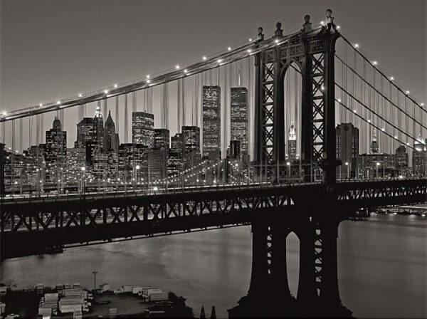 Aluminium schilderij Manhattan Bridge and Skyline van MondiArt New York Brug Amerika MA-DIB1951
