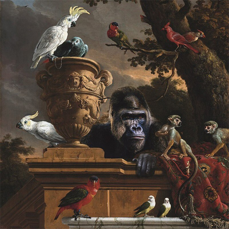 Aluminium schilderij Monkey business van MondiArt Apen Vogels Dieren MA-DIB1943