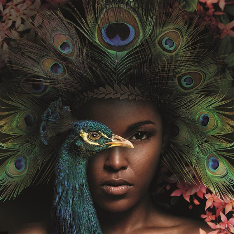 Aluminium schilderij “Royal Peacock” van MondiArt