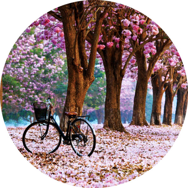 Rond glasschilderij Bike Trip Through Sakura Trees Fiets Japan Bloemen GS-S180