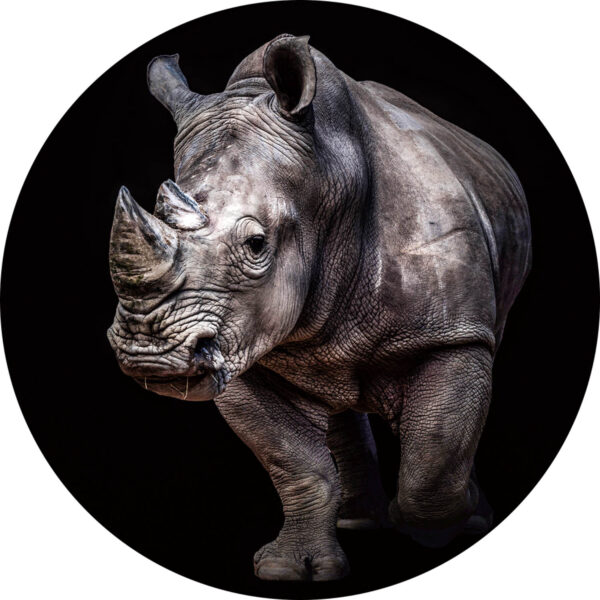 Rond glasschilderij Strongest Rhino Neushoorn Zoogdieren GS-S196