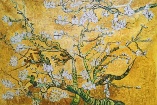 van gogh schilderij yellow-blossom bloesem